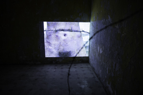 Sigalit Landau, Barbed Hula. Exhibition view. Venice International Performance Art Week (2014). Photograph by Samanta Cinquini.