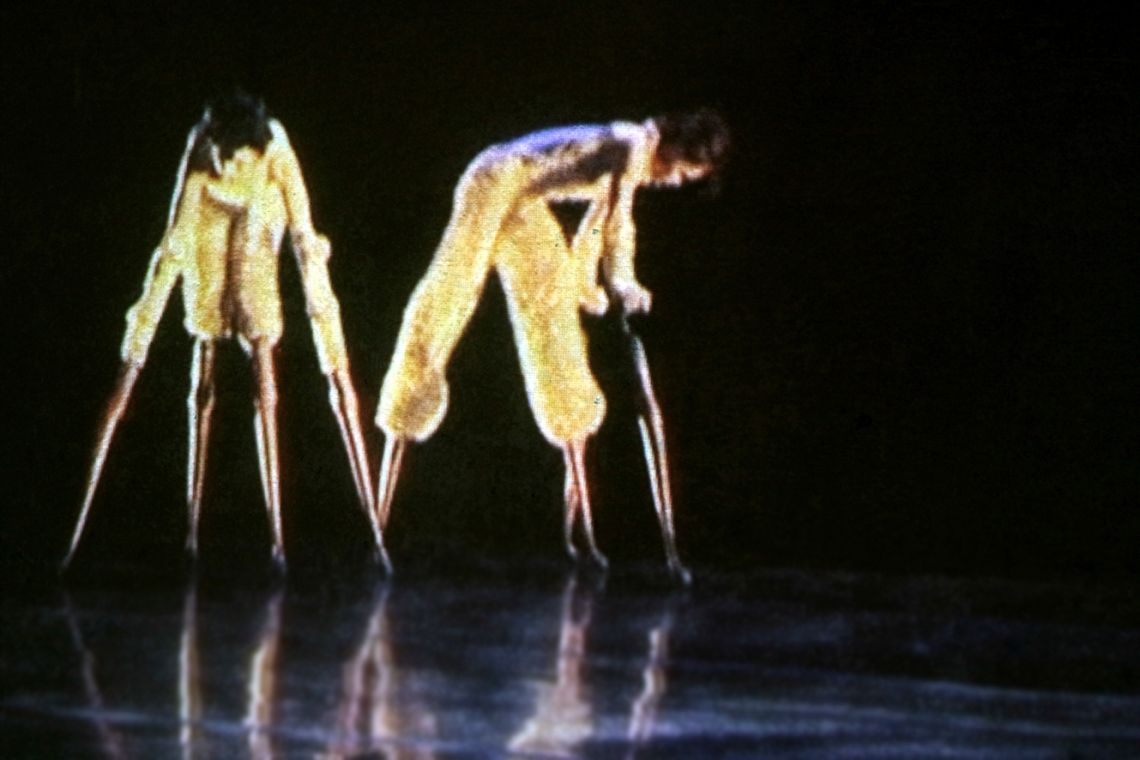 Lisa Bufano. Exhibition view of the video performance with Sonsheree Giles at the III Venice International Performance Art Week 2016. Image © VestAndPage