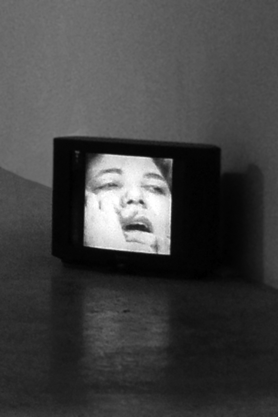 Mona Hatoum. Exhibition view of the video So Much I Want To Say (1983) at the III Venice International Performance Art Week. Photograph by We Exhibit.